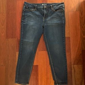 Stylus Skinny Ankle Jeans